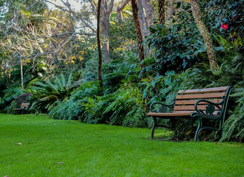 EG Waterhouse Camellia Gardens Sutherland Shire, Caringbah South, New South Wales, Australia, Australia